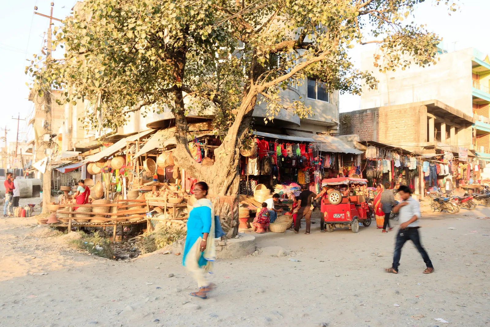 Market stalls under a large tree on a street in Biratnagar