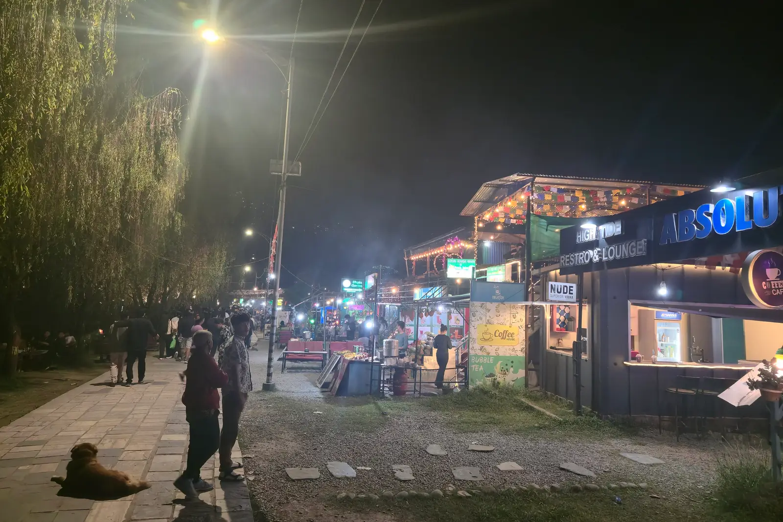 Cafés and restaurants lit up along Lakeside Street in Pokhara at night